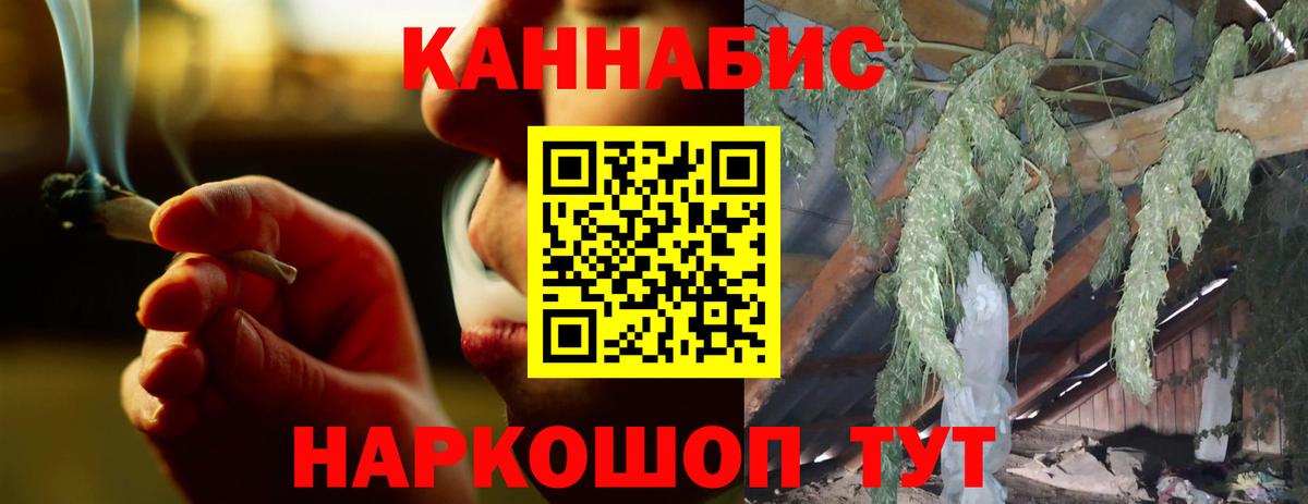 Шишки марихуана конопля  Канабис план  Новотроицк  Бошки Шишки Bruce Banner 
